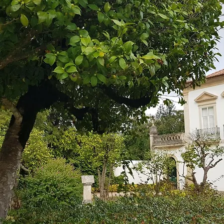Apartment Palacio Da Portela Iii Coimbra